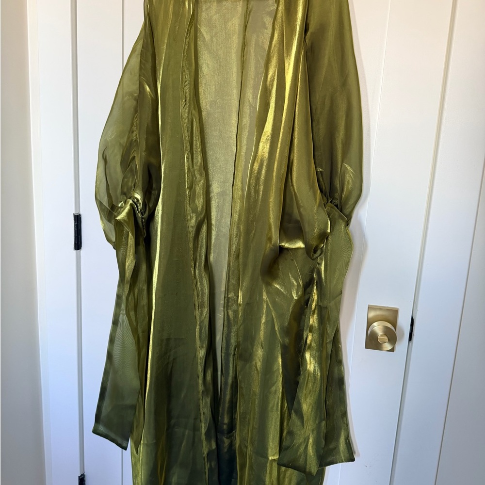 Elegant Olive Green abaya
